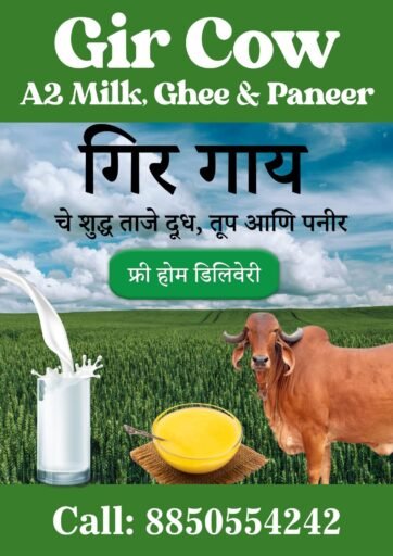 Gir Cow Milk